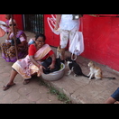 Diese Frau verteidigt ihre Fische gegen Katzen